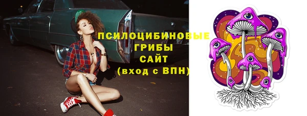 молекула духа Медвежьегорск