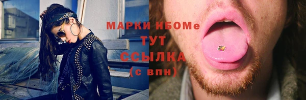 шишки Абаза