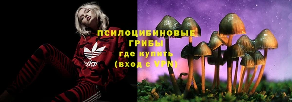 трава Абинск