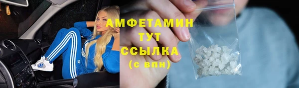 шишки Абаза