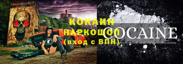 молекула духа Медвежьегорск