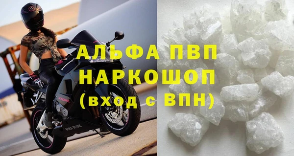 шишки Абаза