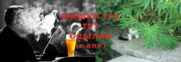 молекула духа Медвежьегорск