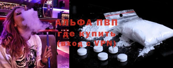шишки Абаза