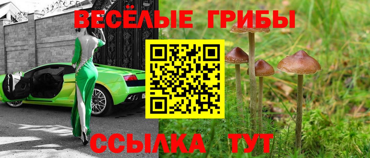 Галлюциногенные грибы мицелий Воронеж