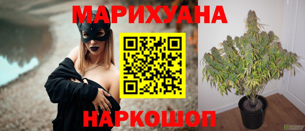 Бошки Шишки планчик Воронеж